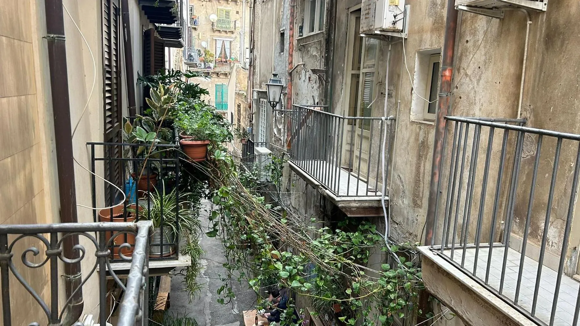 Triscele House - Corrieri Lägenhet Palermo
